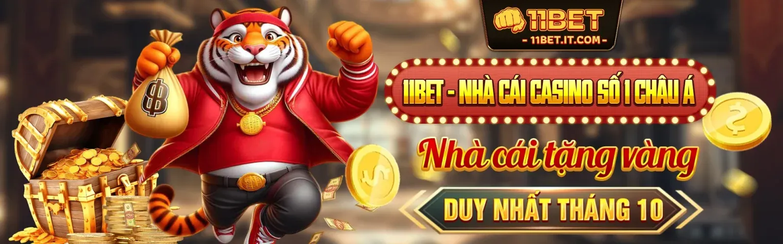 Hình ảnh chính Blog Kong88 chính thức